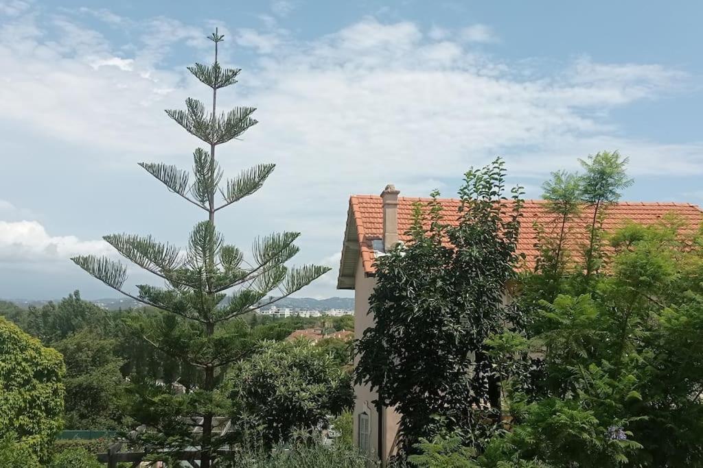 Claelle Appartment - 200M Beach Mandelieu Exterior foto